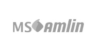 ms amlin